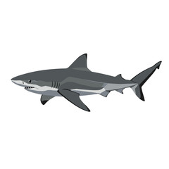 Fototapeta premium Blacktip Shark illustrated in modern style with gray tones 