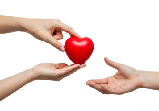 Two Hands Exchanging a Red Heart Against White Background, Conveying Love, Connection, and Affectionate Gesture. PNG