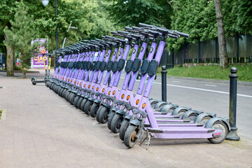 Purple e-scooters neatly lined on paved sidewalk. Green trees in background, soft daylight, urban...