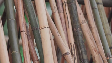 Wild harvested rattan canes is processed and dried in Aceh, Indonesia