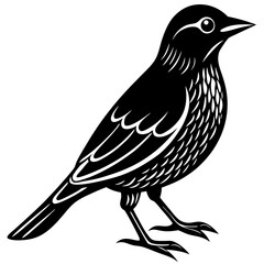A detailed black silhouette of a small bird standing on its feet with its head turned to the right silhouette