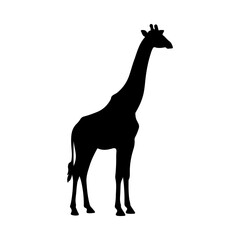 Fototapeta premium Giraffe silhouette icon vector flat design on white background