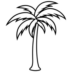 Obraz premium palm tree vector