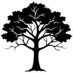 Fototapeta premium vector tree silhouette