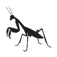 Praying Mantis Silhouette: Elegant, Dramatic, Black Ink Vector Illustration
