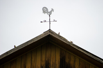 A weather vane shaped like a rooster sits atop a wooden roof with several small birds perched along...