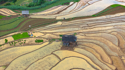 Hmong farmers prepare their fields and plant rice on terraced fields in Mu Cang Chai, Yen Bai....