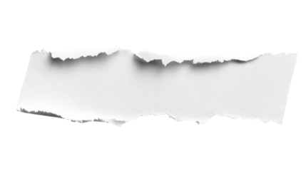 Torn paper strip with visible edges and texture isolated on white background