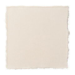Obraz premium Blank textured paper with torn edges isolated on white background