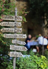 Rustic wooden directional signs in a garden.