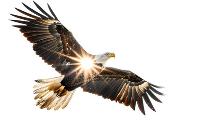 Obraz premium Vigilant Eagle Soaring Past Light Beam with Watchful Expression Isolated to Transparent Background