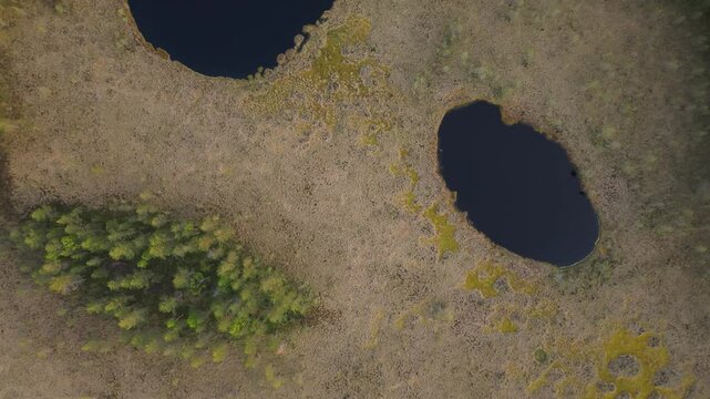 Stunning nature of the Scandinavian countries: bogs and forests, northern landscapes. Small forest lakes and bog moss. Aerial view.