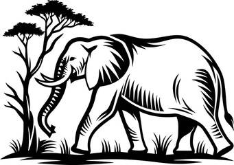 Obraz premium Walking african elephant under acacia tree in savanna grassland, vintage hand drawn engraving illustration