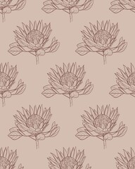 Seamless pattern Hand drawn linear illustration of a protea flower in brown ink on a beige background. Elegant botanical sketch in minimal vintage style. Perfect for floral prints, packaging, fabric