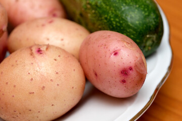 Freshly harvested vegetables bring life to the dinner table in autumn