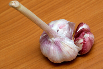 Garlic bulb resting on a wooden table showcasing its fresh appearance