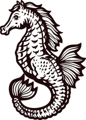 Fototapeta premium Detailed hand drawn seahorse illustration with intricate lines and decorative patterns isolated on white background