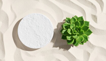 A green succulent plant and a round white stone rest on textured sand with wavy patterns, creating a minimalist and natural composition.