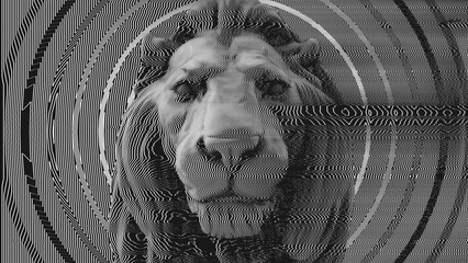 Close in on the head of a Lion with a distorted modulation effect.