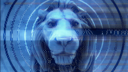 Close in on the head of a Lion with a distorted modulation effect.