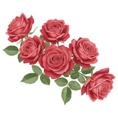 Obraz premium Arrangement of Red Roses with Green Leaves on transparent background