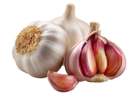 Garlic Bulbs and Clove: A close-up studio shot of fresh, vibrant garlic bulbs and a single clove, showcasing the plant's natural texture and the crisp details.