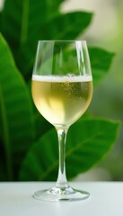 Crystal glass of chilled white wine against lush green leaves, luxury, restaurant, stylish