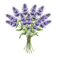 Fototapeta premium Bouquet of Purple Flowers Illustration with Green Leaves on transparent background