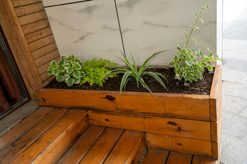Decorative composition in the courtyard of the house with green plants