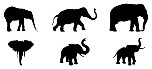 Set of vector ,elephants black silhouettes isolated on a white background, Set of different type Elephant running silhouette vector illustration isolated on white background Vector illustration