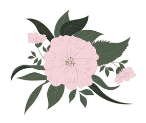 Bouquet of large white flowers painted by hand. Botanical ornament for fabrics, textiles, packaging and wallpaper. Vector illustration.