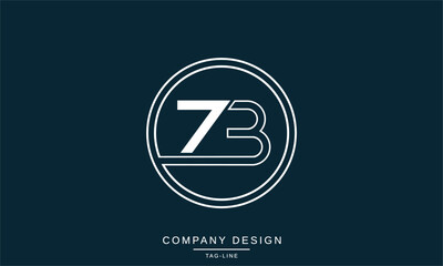 ZB, BZ Abstract Letters Logo Monogram Design Font Icon Vector