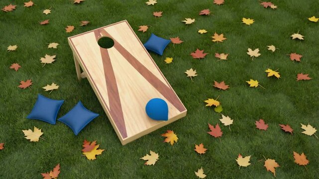Bean Bag Toss or Cornhole game.