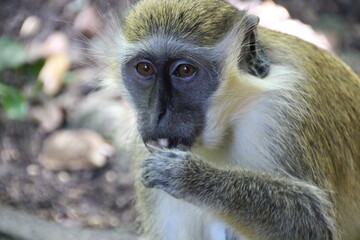 Wedding-themed image with decorative elements