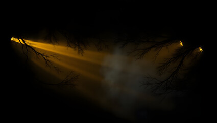 Mysterious Beams of Light: In the stillness of the night, ethereal beams of golden light pierce through the darkness, illuminating the bare branches of trees and creating a dramatic atmosphere.