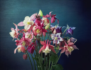 Blooming Columbine against Black Background AI