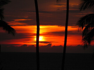 Wedding-themed image with romantic and decorative elements