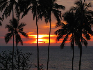 Wedding-themed image with romantic and decorative elements