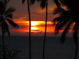 Wedding-themed image with romantic and decorative elements