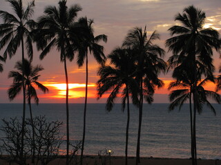 Wedding-themed image with romantic and decorative elements