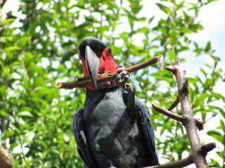 Wedding-themed image with romantic and decorative elements