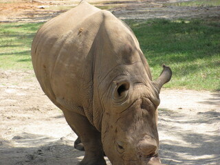 Wedding-themed image with romantic and decorative elements