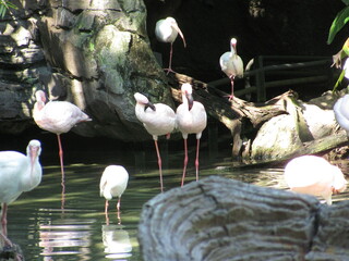 Wedding-themed image with romantic and decorative elements