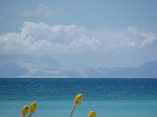 Wedding-themed image with romantic and decorative elements