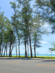 roadside at the beach with blue sky