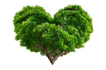 Vibrant green heart shaped tree with thick trunk and branches isolated on transparent background