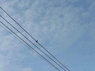 high voltage power line