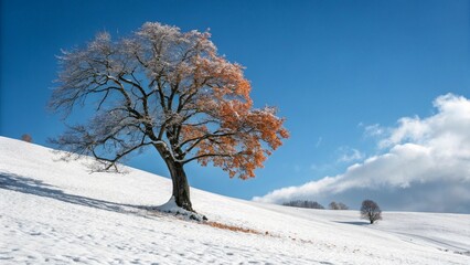 Solitary Tree with Autumn Leaves in a Snowy Winter Landscape