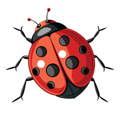 A tiny and spotted ladybug crawling gently on a plain white surface, a symbol of good luck and nature's beauty.