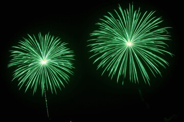 green firework in the night sky with a black background